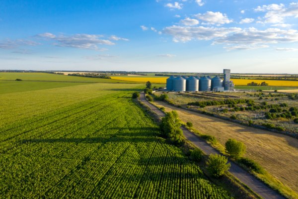 Grain silos among fields