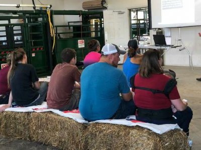Grow your beef stockmanship skills at upcoming field day | Penn State University