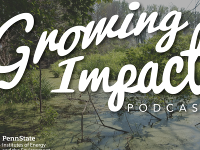 Growing Impact Podcast explores carbon stored in coastal wetlands | Penn State University